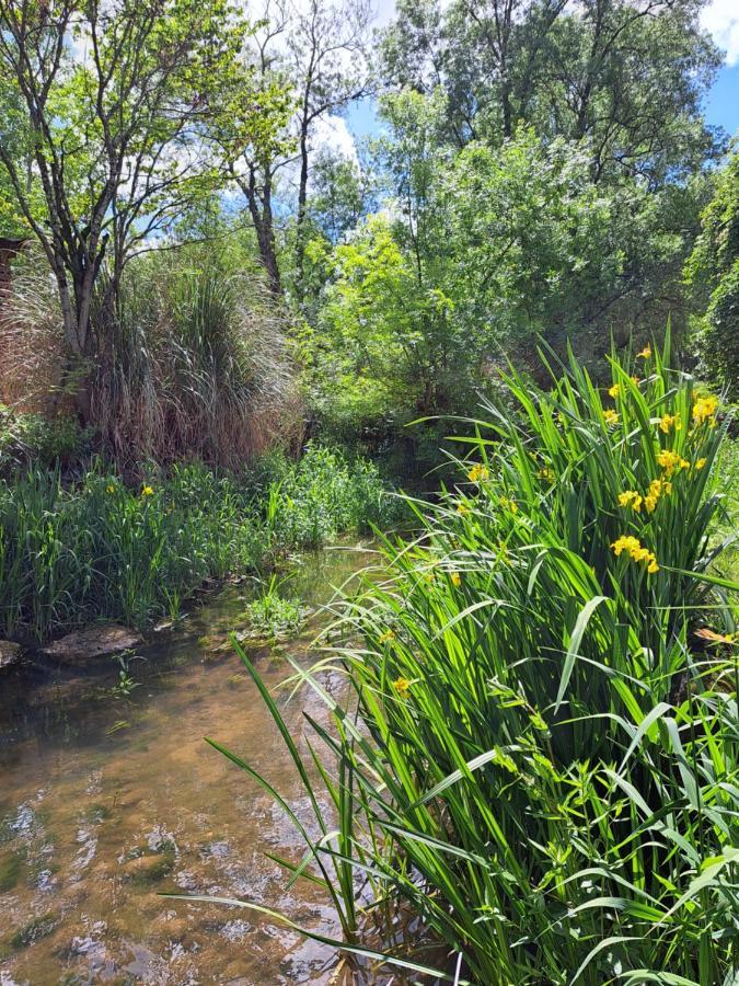 Le Moulin Etourneau - 3 Gites Avec 2 Piscines Champagnac  المظهر الخارجي الصورة