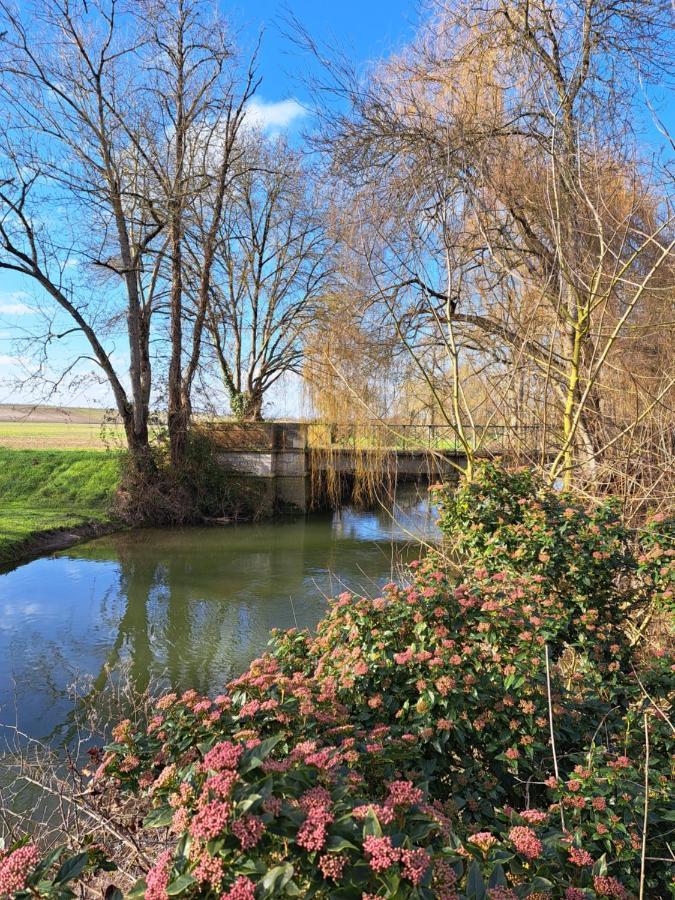Le Moulin Etourneau - 3 Gites Avec 2 Piscines Champagnac  المظهر الخارجي الصورة
